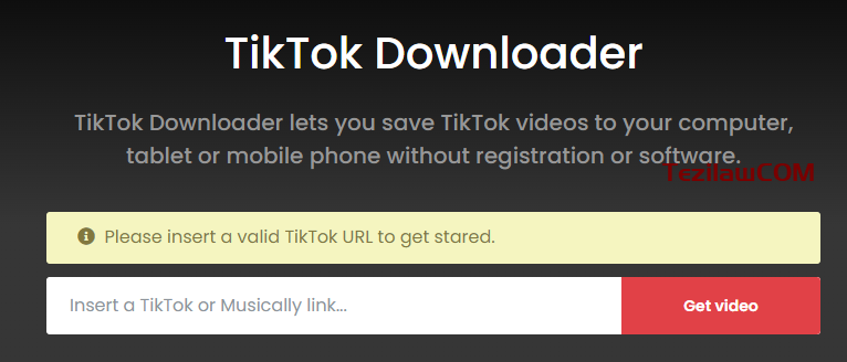 图片[1]-TTdownloader提供免费的在线下载工具 可下载TiKTok视频-特资啦！个人资源分享站