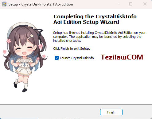 图片[5]-CrystalDiskInfo 9.2.1 Aoi Edition 硬盘检测工具 可检测详细数据与硬盘健康-特资啦！个人资源分享站