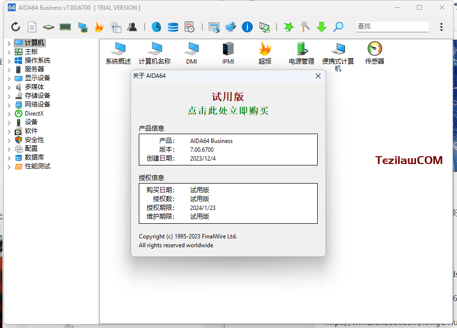 图片[3]-Aida64 Business v7.00.6700 版本 2023.12.24日最新可用激活码-特资啦！个人资源分享站